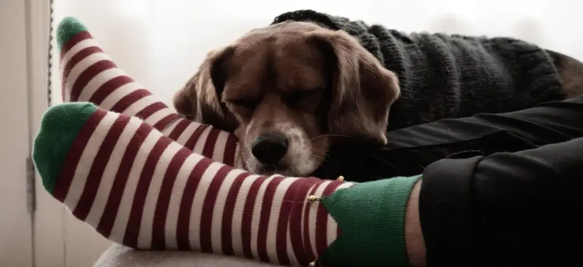 Gør garderoben klar til jul - 6 stykker juletøj du ikke må undvære